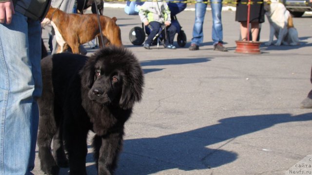 Фотография № 107596