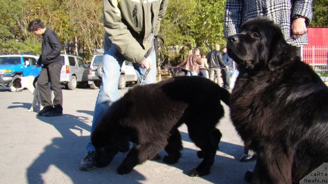 Фотография № 107603