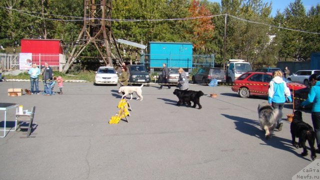 Фотография № 107607