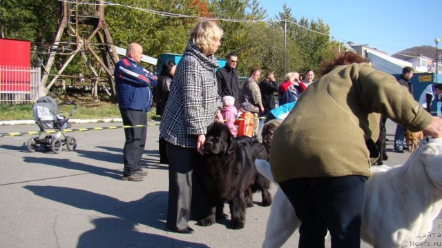 Фотография № 107609