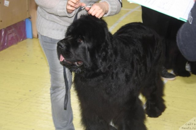 Фотография № 107631