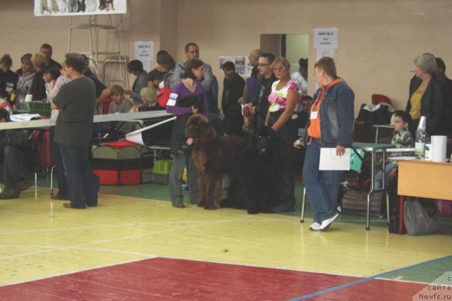 Фотография № 107633