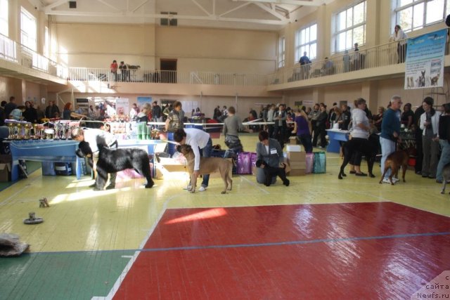 Фотография № 107637