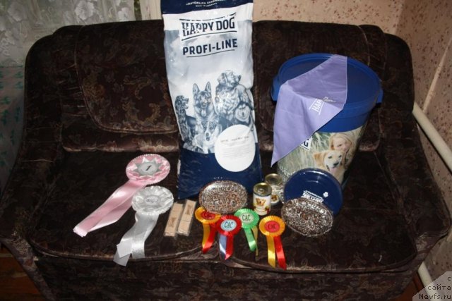 Фотография № 107652