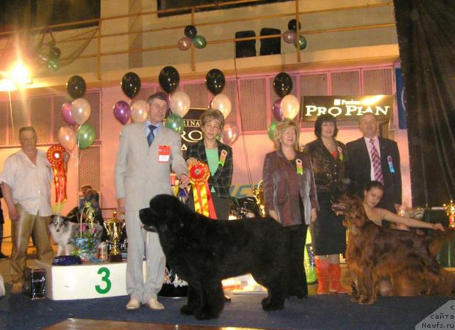 Фотография № 10766