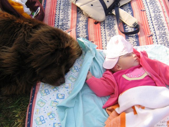 Фотография № 107674