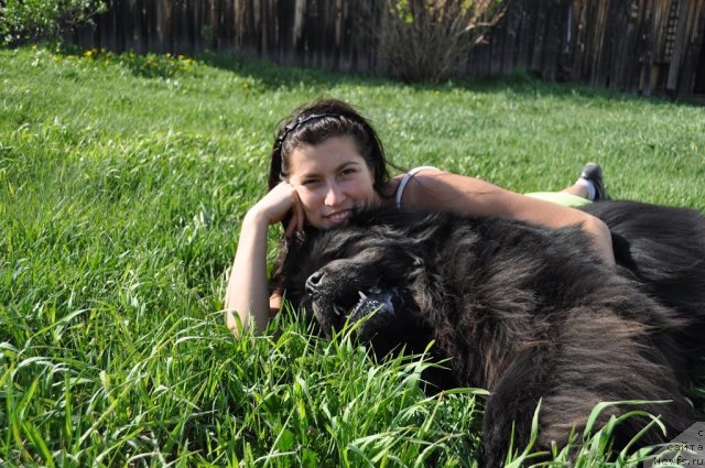 Фото: ньюфаундленд Данс Мемори Фьюджан Риф, Вероника Батина