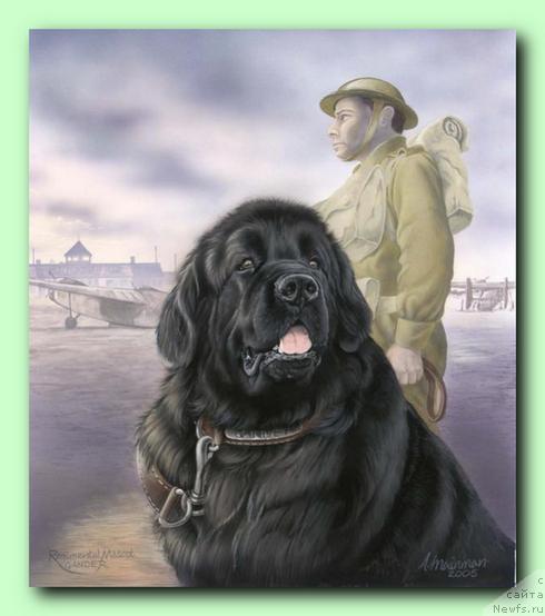 Фотография № 10781