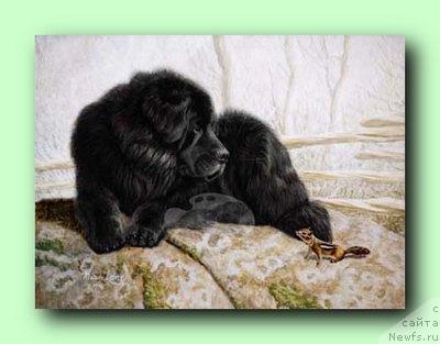 Фотография № 10782