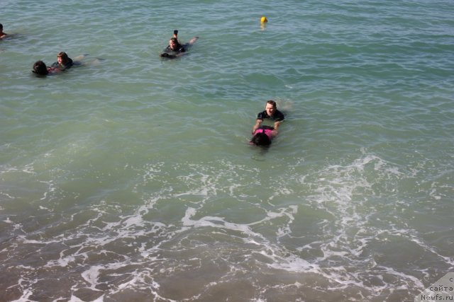 Фото: ньюфаундленд Дар Свезы Юника Сагитта (Dar Svezy Unika Sagitta), Ваничев Андрей