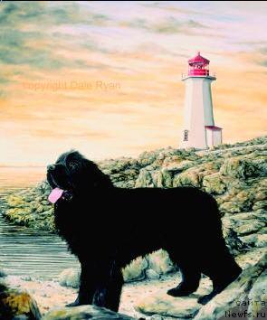 Фотография № 10783