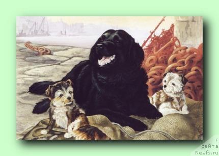 Фотография № 10784