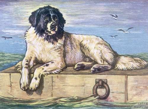 Фотография № 10786