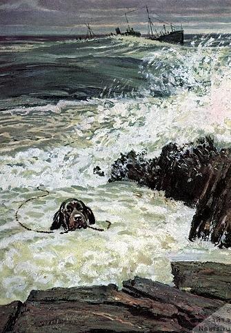 Фотография № 10788