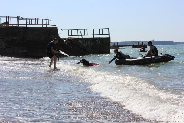 Фото: ньюфаундленд Дар Свезы Юника Сагитта (Dar Svezy Unika Sagitta)