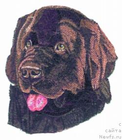 Фотография № 10789