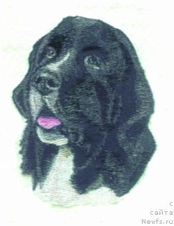 Фотография № 10790