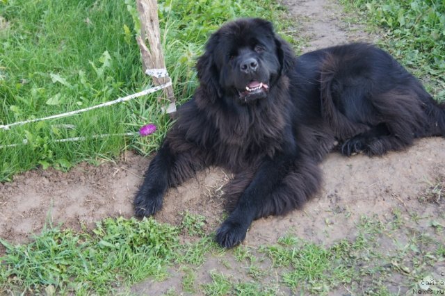 Фотография № 107908