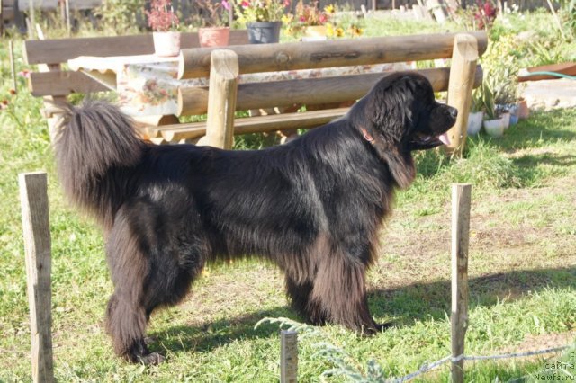 Фотография № 107909