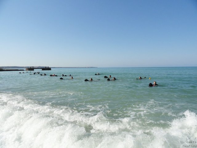 Фотография № 107916