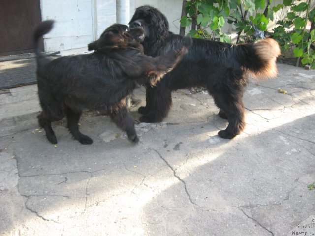 Фотография № 107929