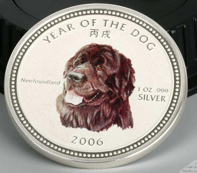 Фотография № 10793