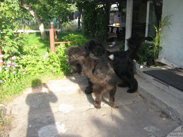 Фотография № 107931