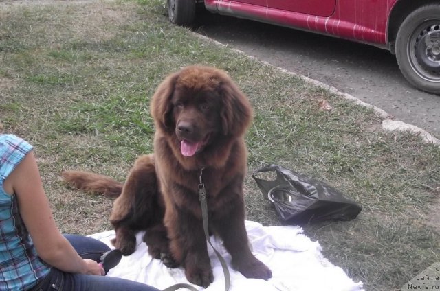 Фотография № 107933