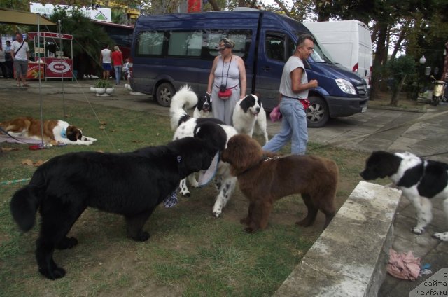 Фотография № 107936