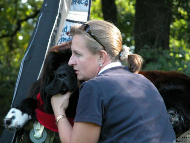 Фотография № 10796