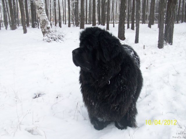 Фотография № 107964