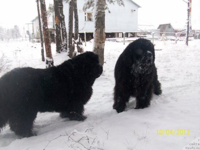 Фотография № 107966