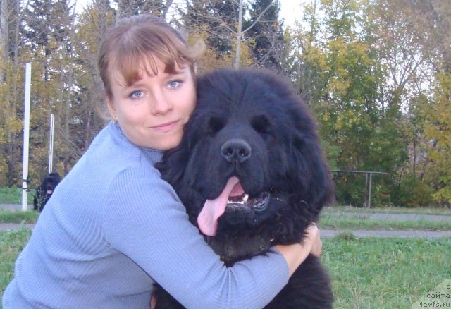 Фотография № 107973