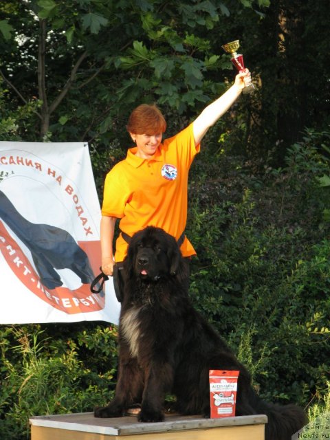 Фотография № 107975