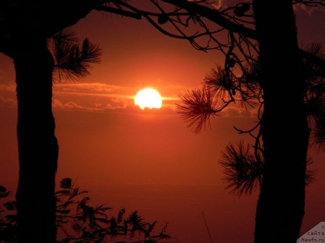 Фотография № 108084