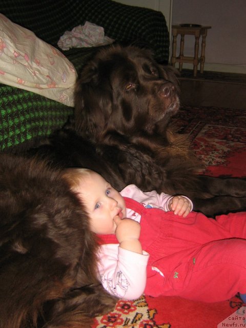 Фотография № 108088