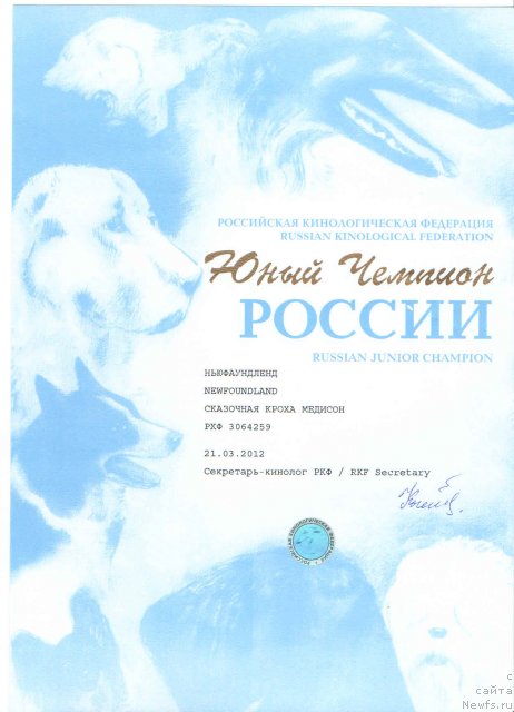 Фото: Анатолий Дядищев