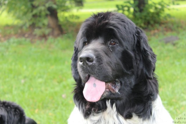 Фотография № 108199