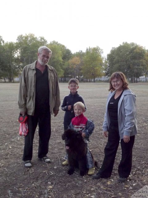 Фото: ньюфаундленд Би Перфект Арабелла