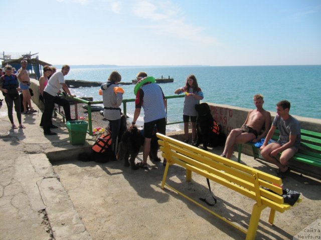 Фотография № 108224