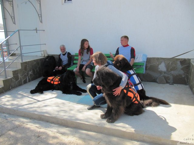 Фотография № 108225