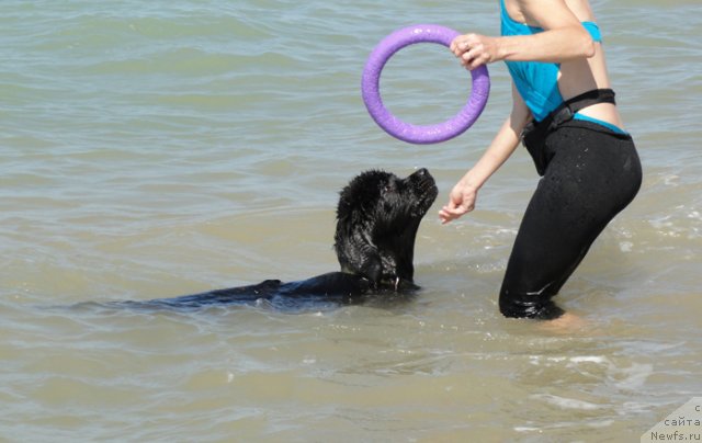 Фотография № 108230