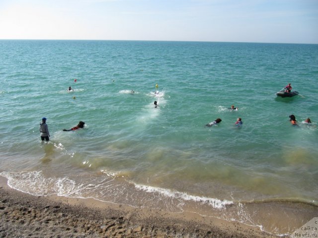 Фотография № 108237