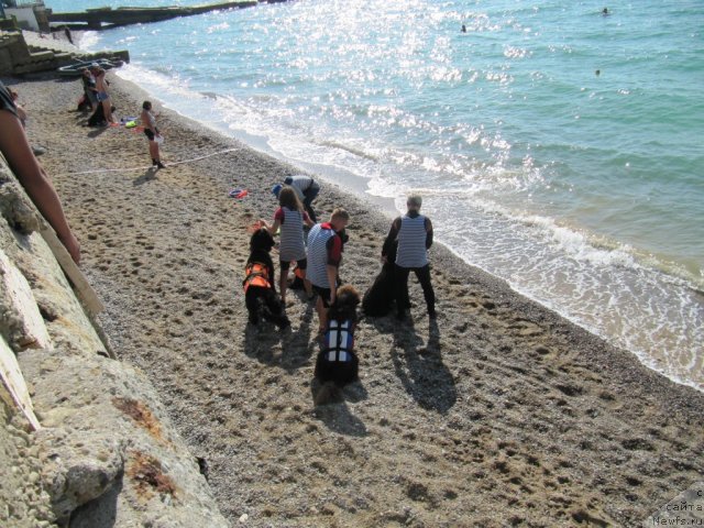 Фотография № 108248