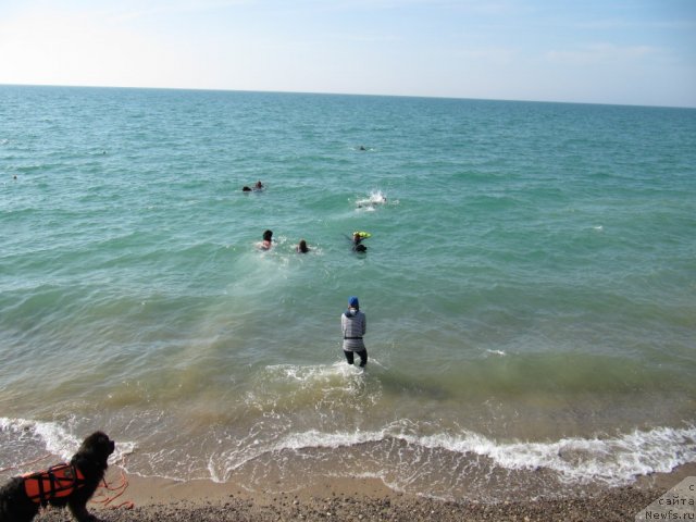 Фотография № 108250