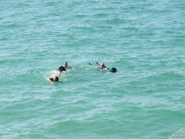 Фотография № 108251