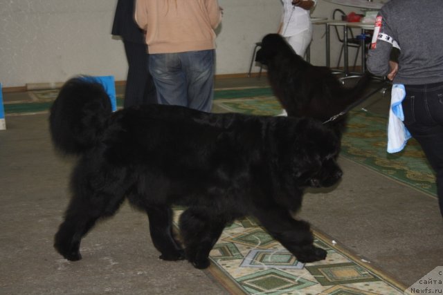 Фотография № 108268