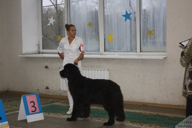 Фотография № 108270