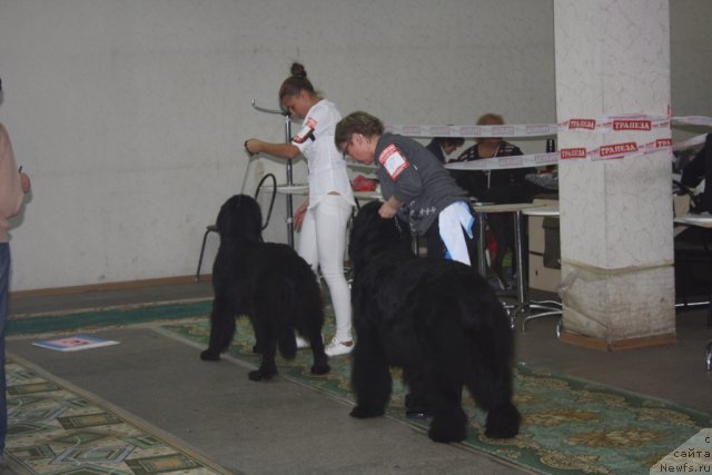 Фотография № 108271