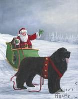 Фотография № 10828